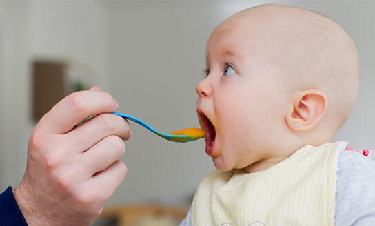 plunket solids baby spoon feeding